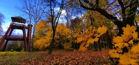 Püspökladány Arborétum! 