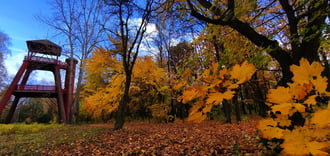 Püspökladány Arborétum! 