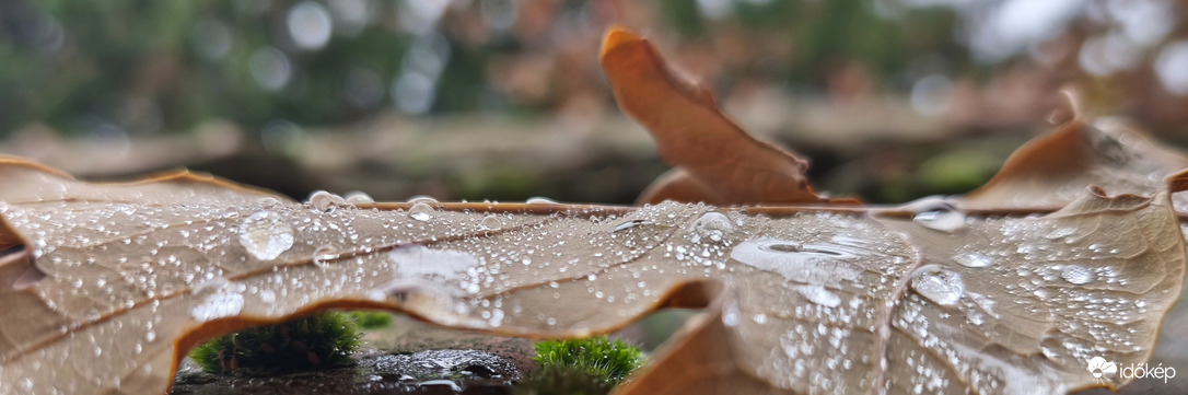 Egy csepp két csepp! 