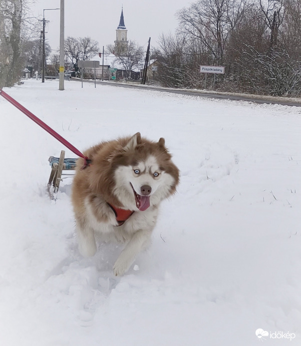 Futás a hóban! 
