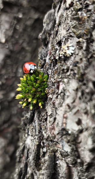 Helló jövök már! 