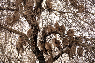 Pihenünk még egy kicsit! 