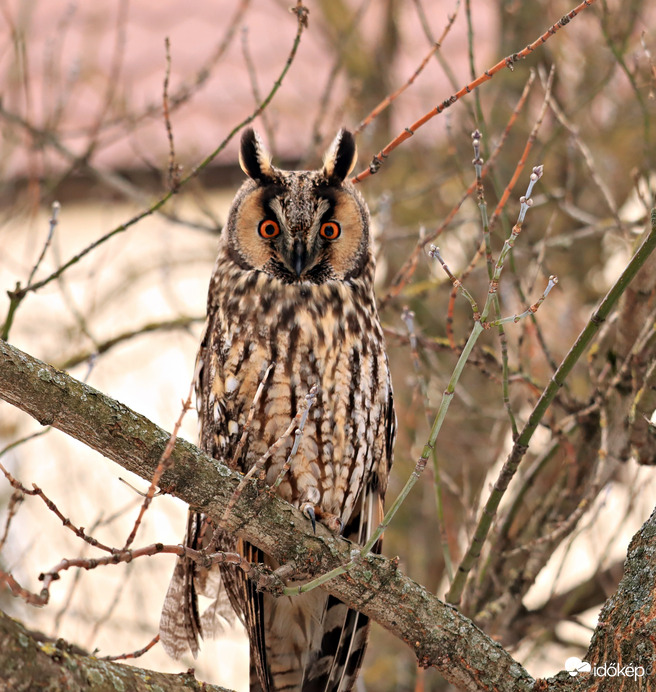Meg volt a köztünk a szemkontaktus! 