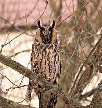 Meg volt a köztünk a szemkontaktus! 