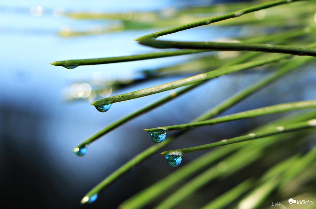 Megfagyott buborékok! 