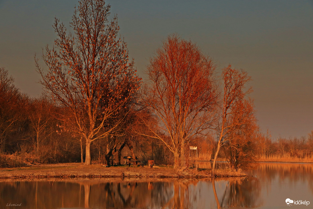 Naplemente szinezte fák! 