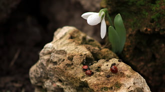 Itt a tavasz előbújtunk mi is! 
