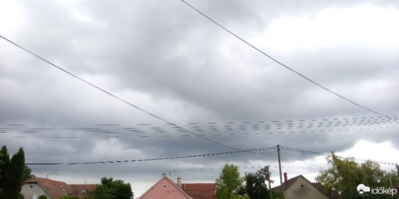 Páhi