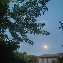 Tápiószecső