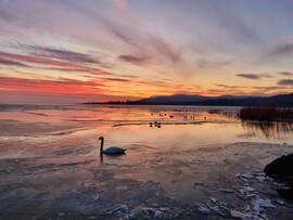 Balatonrendes