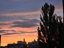 Budapest XX. ker