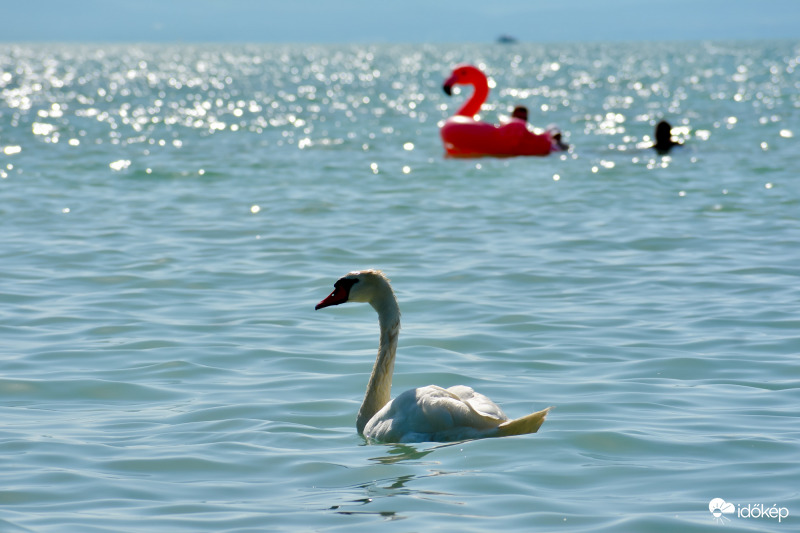 Siófok