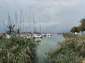 Hollád