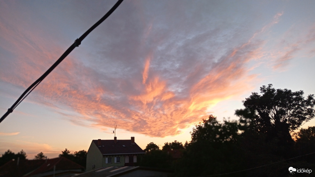 Tűz