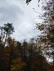 Sopron