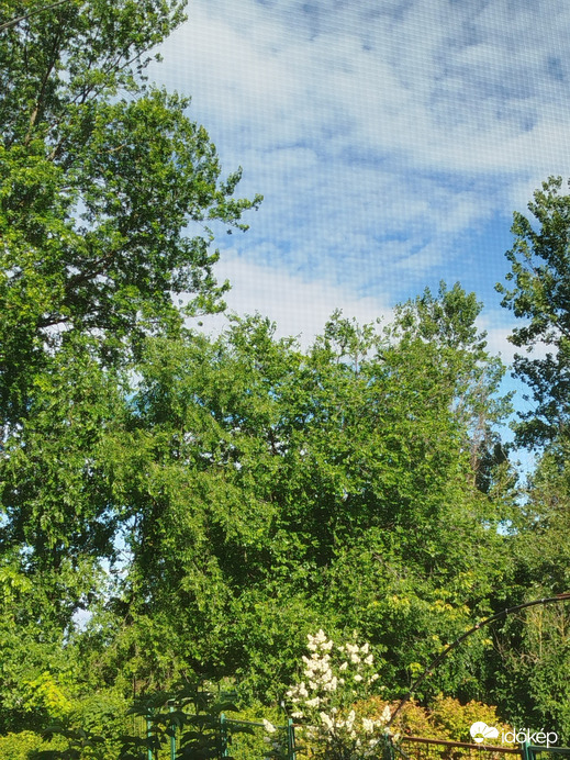 Királyegyháza