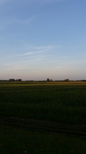 Komoró