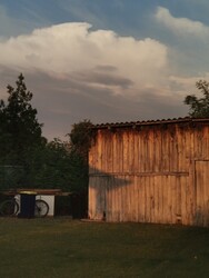 Orgovány