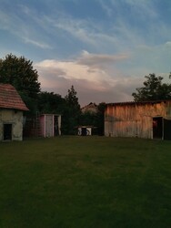 Orgovány