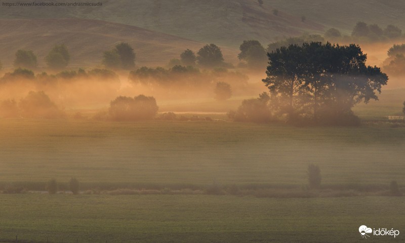 Hűvös harmatos reggel