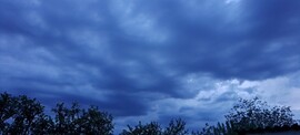 Oroszlány
