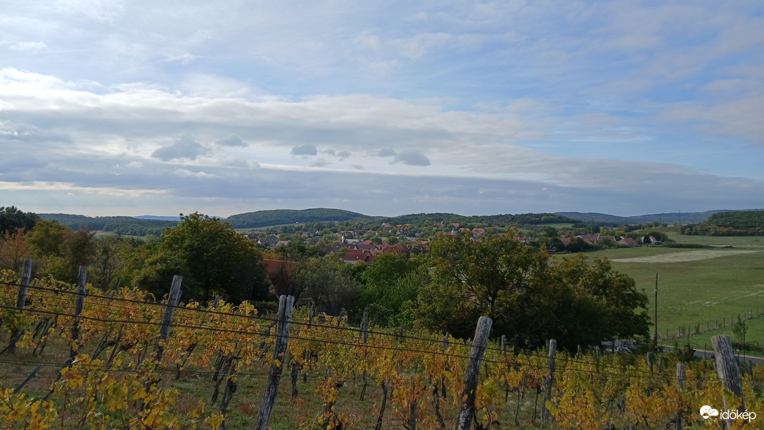 Balatonszőlős