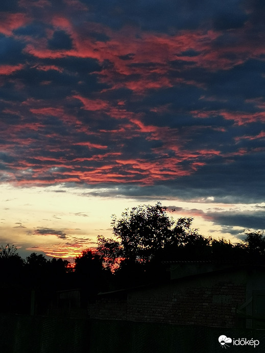 Naplemente. Mezőcsokonya