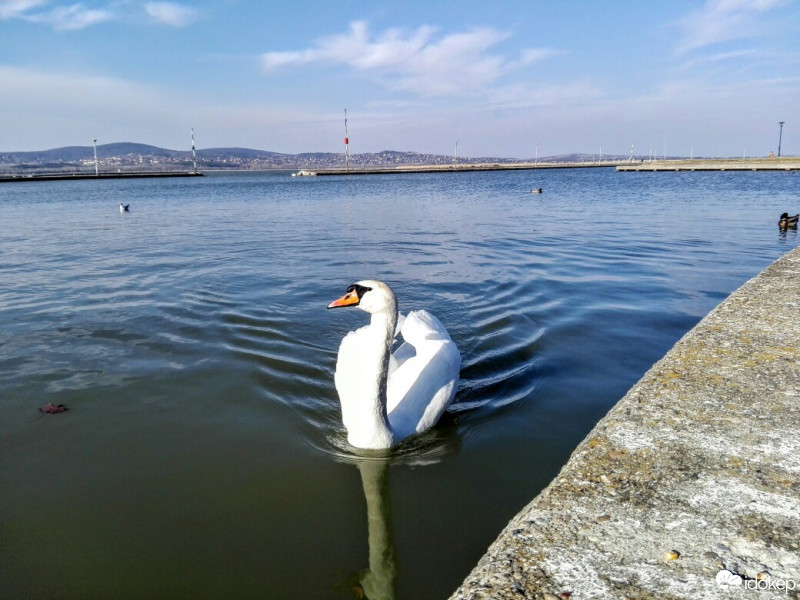 Gárdony