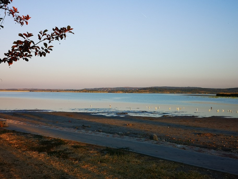 Gárdony