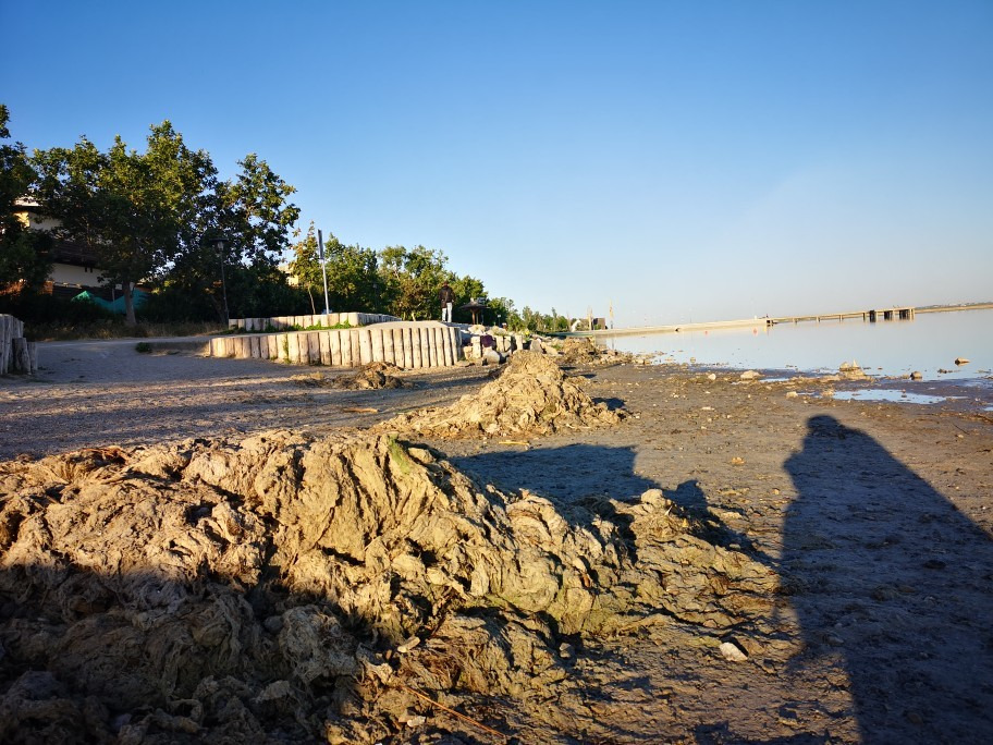 Gárdony
