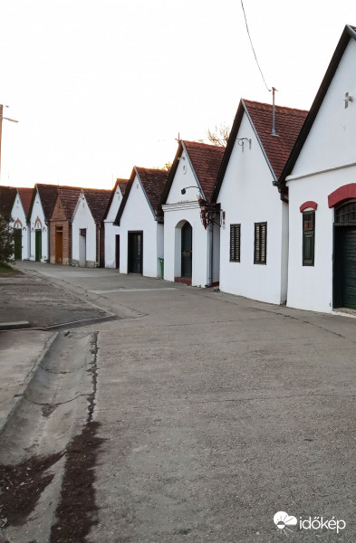 Villánykövesdi pincesor