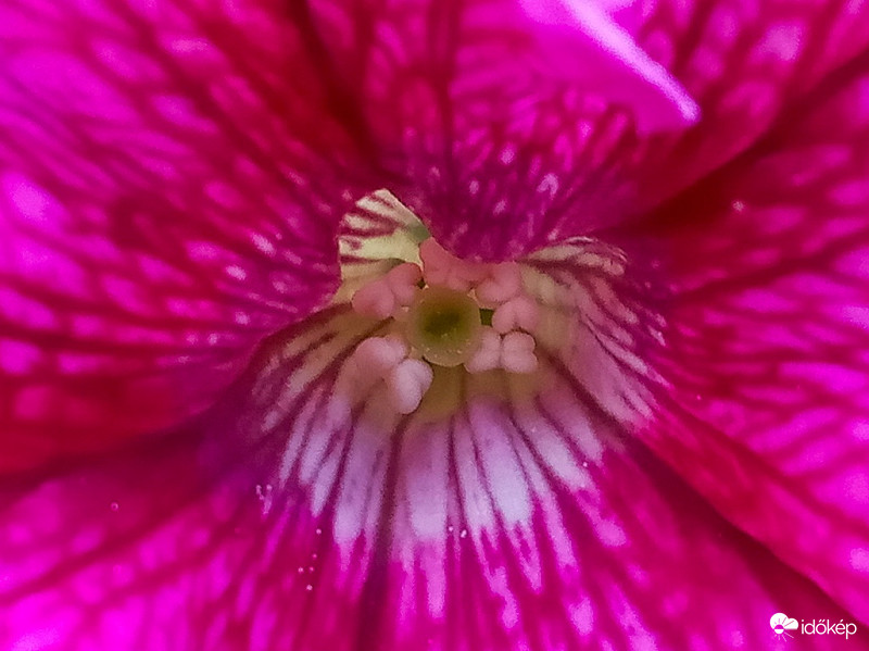 mert így is szép....