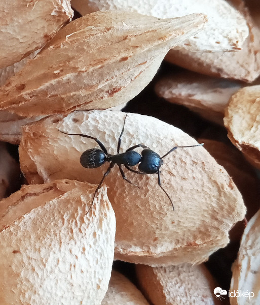 Felfedező úton a magok között :)