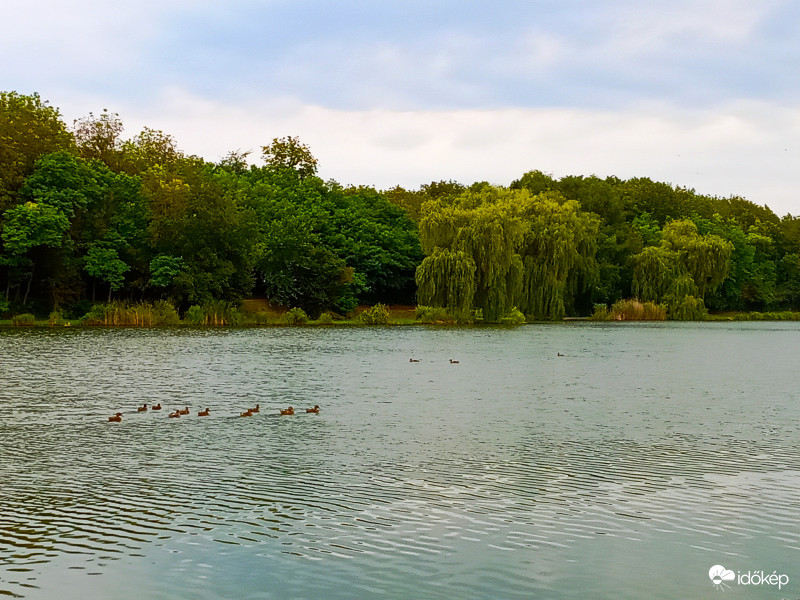 Kacsa úszta-tó :)