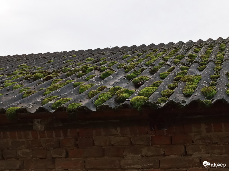 Itt is megélünk :)