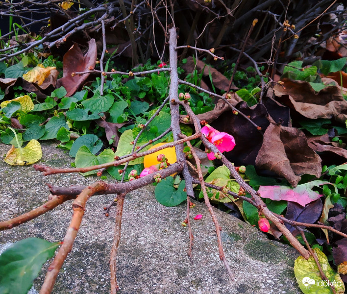 Ő is eltévedt ! :)