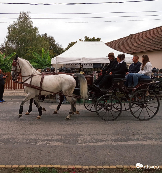 Szüreti felvonuláson