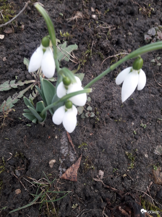 Budapest XVII.ker - Rákoshegy