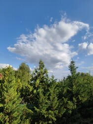 Helvécia