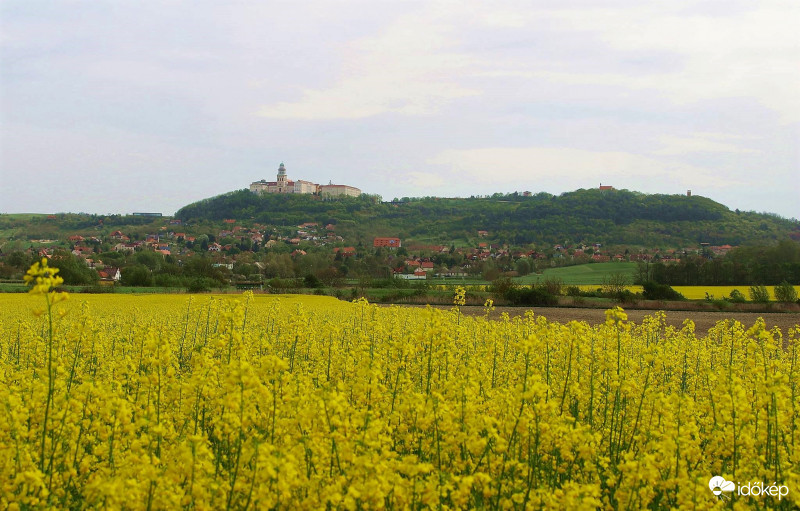 Pannonhalmi repcés