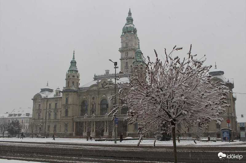 Havas Győr