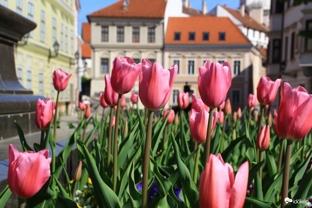 Győr, Bécsi kapu tér
