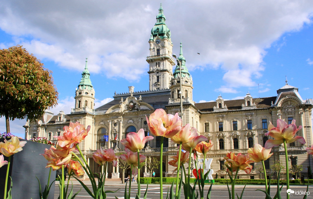 Győr Városháza tulipánokkal