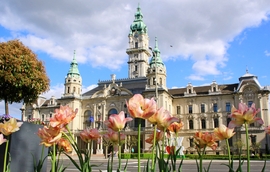 Győr Városháza tulipánokkal