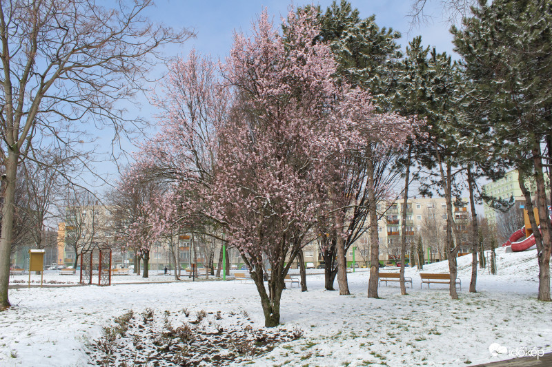 márciusi télben