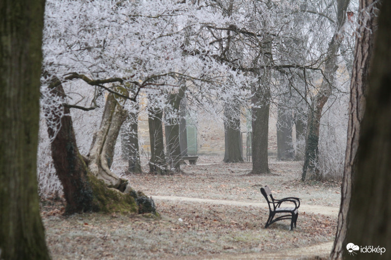 Fertőd jan 22.