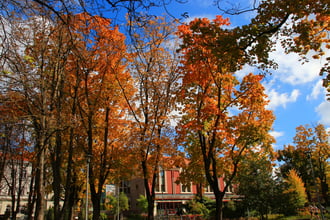 Eötvös park