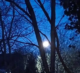 Gödöllő