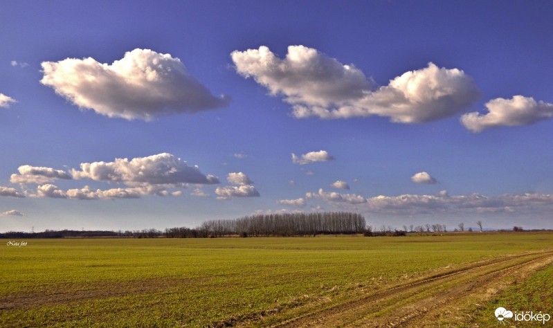 Mihályi