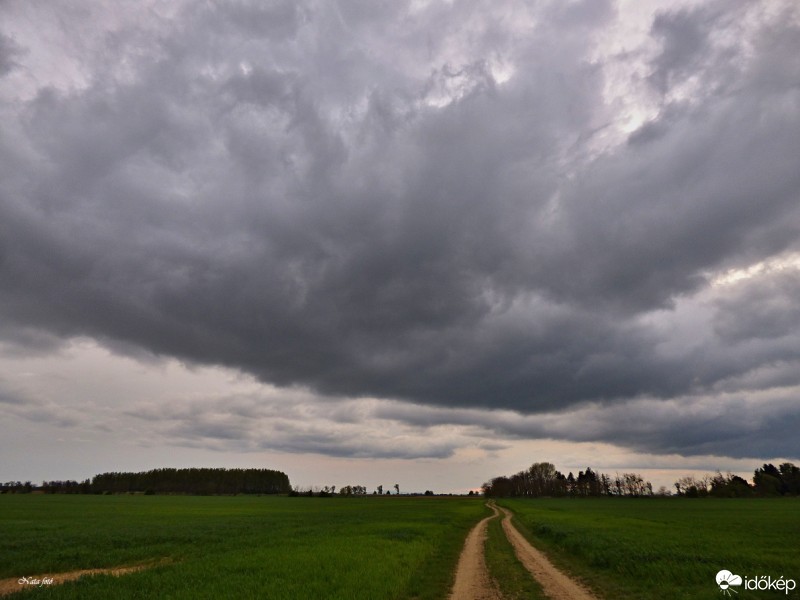 Mihályi
